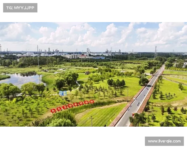 潍坊站碳排放接近零 联合国体育署推广绿色赛事中国模式 潍坊站碳排放接近零 联合国体育署推广绿色赛事中国模式